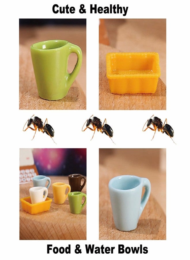 KnocKconK Spider Micro Water Bowl, 3 Pack Mini Liquid Feeder Ant Bowl, Ant Farm Water Feeder, Small Insect Water Bottle, Food Bowl Tarantula Mini Dish for Millipede Tiny Bugs Reptiles - Image 5